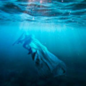 Meet your Posher, Unknown